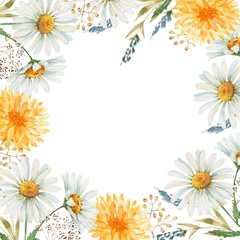 Obraz premium frame with delicate watercolor flowers daisies and chrysanthemums, hand painted illustration