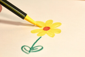 drawing a flower