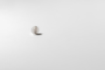 the win or loose concept, a quater coin spin or rotate on the colorful surface isolated