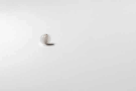 the win or loose concept, a quater coin spin or rotate on the colorful surface isolated