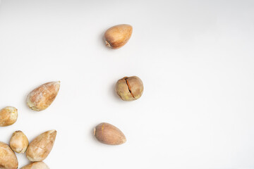 the sliced avocado with a big seed, organic raw product, growing avocado plant