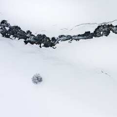 Fototapeta premium Minimalist aerial winter landscape showing a tree and a mountain river in the snow-covered valley. Square format. No people.