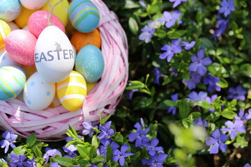 Easter holiday.Pink wicker nest with  decorative eggs in purple spring flowers.Easter eggs in a basket in the garden.Spring Religious Holiday Symbol. festive easter background