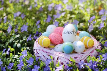 Easter holiday.Pink wicker nest with easter  eggs in purple spring flowers.Easter eggs in a basket in the garden.Spring Religious Holiday Symbol. festive easter background