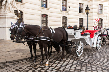 Fototapeta na wymiar Horse carriage drawn by two horses.