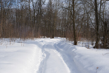 Fototapeta na wymiar Snowy road in the forest.