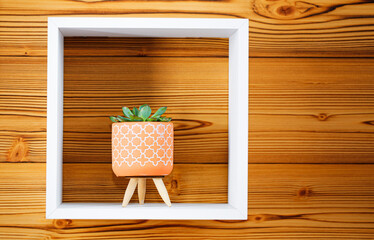 A green  flower in a light pink flower pot as decoration in a white shelf on a wooden wall.