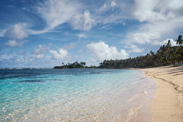 Fototapeta premium Sunny day on the tropical beach with coconut palm trees.