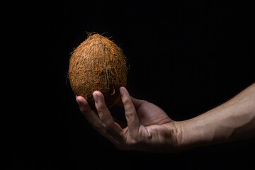 Isolated coconut on a black background. One whole coconut in a man's hand on a dark background. Healthy fruit