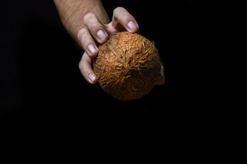 Isolated coconut on a black background. One whole coconut in a man's hand on a dark background. Healthy fruit