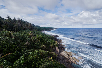 Tropical landscape. Seashore, big waves.