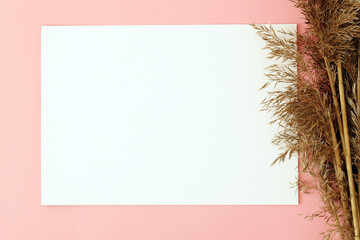 blank a4 paper sheet on pink background with dry grass