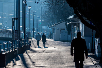 people walking in the city