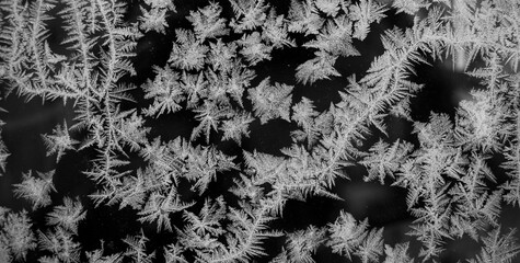 Balck and white ice crystal pattern on the window. Monochromatic texture of frosty snowflakes on glass