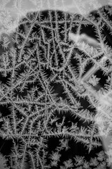 Balck and white ice crystal pattern on the window. Monochromatic texture of frosty snowflakes on glass