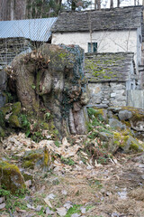 Fototapeta premium valle domesi