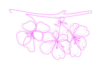 Vector modern set of isolated hand drawn doodle flowers. Sakura, cherry, plum flowers. Pattern of flowers drawn by one line on a white background.