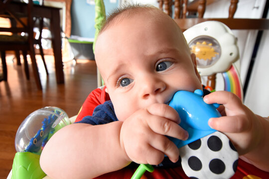 6 month old baby in play saucer chewing on toy, teething. 