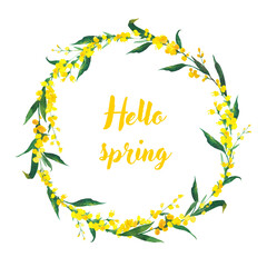Watercolor wreath of yellow Mimosa flowers isolated on white background. Flowers for greeting cards.