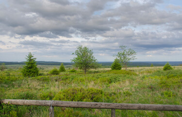 Die Landschaft des 