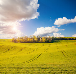 Rural area on the springtime on a sunny day. Location place of South Moravian region.