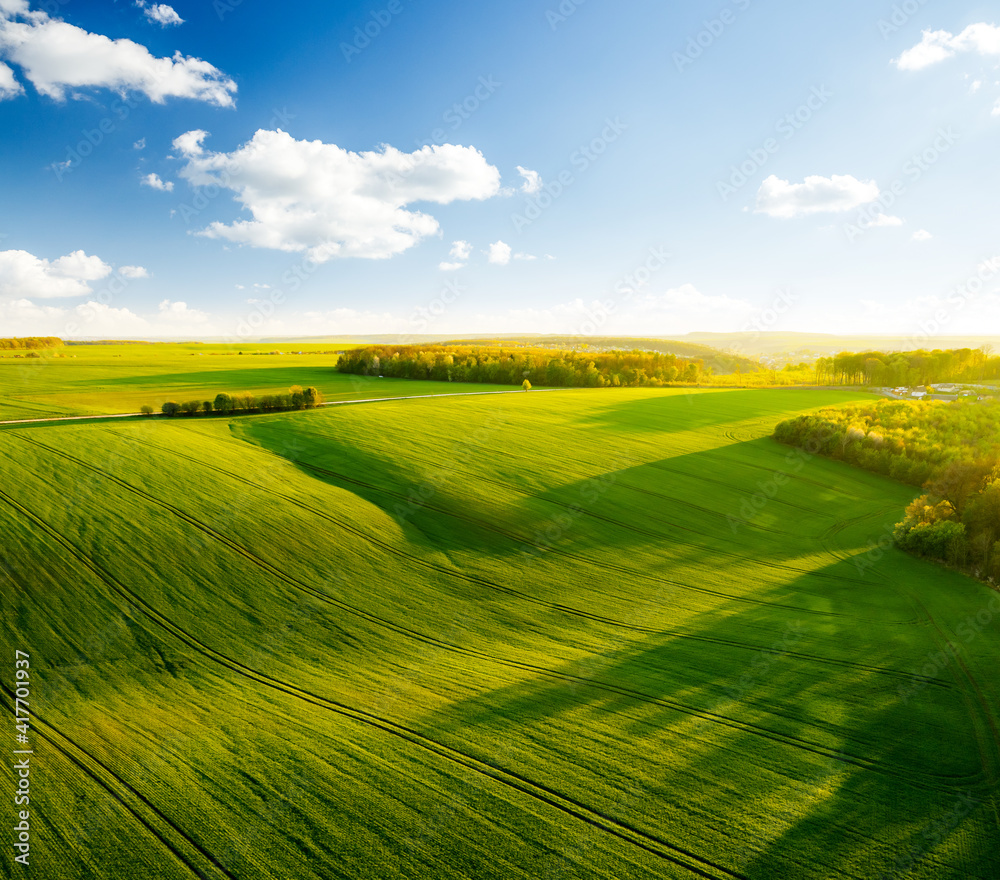 Poster Fantastic aerial photography of green wavy field in sunny day. Top view drone shot.