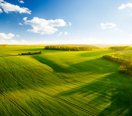 Fantastic aerial photography of green wavy field in sunny day. Top view drone shot.