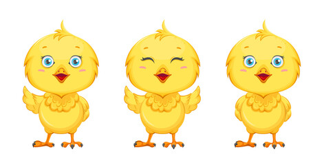 Cute little chick, set of three poses