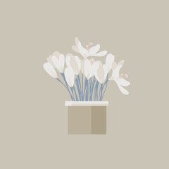 Spring flowers. Yellow and white crocuses. Garden primroses. Bulbous plants. Vector bouquet for greeting cards