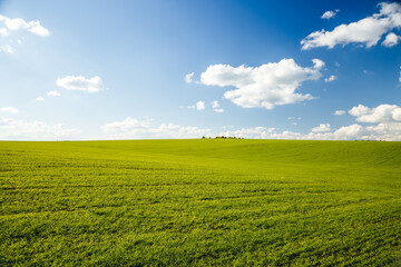 Fototapeta na wymiar Bright green field and perfect blue sky. Agricultural area of Ukraine, Europe.