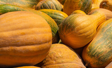 pumpkin on the market