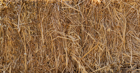 close up of straw