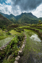 dramatic  rice terraces landscape taken in Batad, Banaue, Philippines during a summer travel in Asia