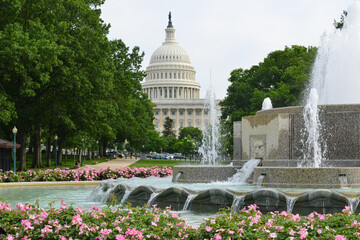 US Capitol Building and spring - Washington D.C. United States of America