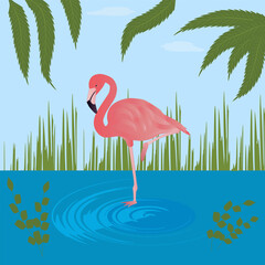 Pink flamingo standing on one leg in a pond, greenery - vector. Tourism. Travel. World of exotic birds.