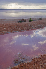 Calm evening on the shore of natural pink salty lake of Torrevieja, Spain