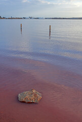 Scenic view of natural pink salty lake of Torrevieja, Spain