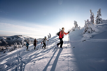 Mountaineer backcountry ski waling in the mountains. Ski touring in high alpine landscape with...