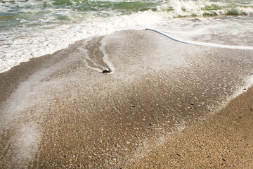 Black sea water waves horizon on summer sandy beach holiday vacation travel ukraine concept