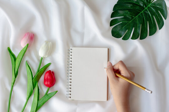 Top view young woman holding pencil with blank paper notebook with tulup flower on white silk fabric background. Spring and summer, minimal.