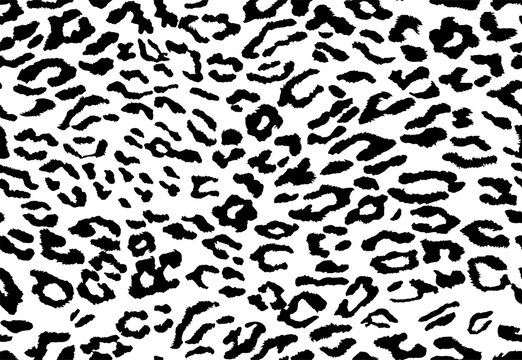 Vector leopard background. Seamless animal pattern. Animal print.