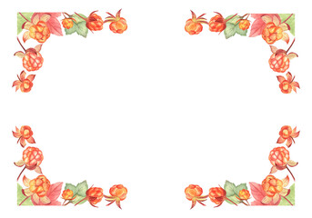 Cloudberry frame on white isolated background. This frame is consisted of 4 separate corners, therefore can be adjusted to any size. Farmhouse, vintage and cottage styles. Watercolor illustration. 
