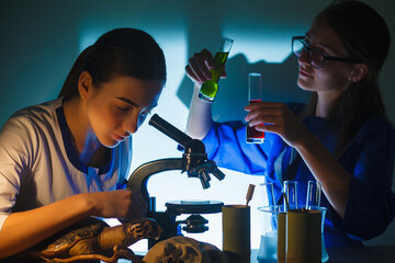 Student girl looking in a microscope, science laboratory concept. Two beautiful schoolgirls doing experiment together in the laboratory.
