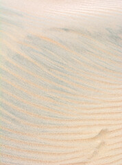 Fine beach sand in the summer sun.   Sand texture. Sandy beach for background. Top view.