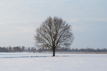 Schneelandschaft Deutschland
