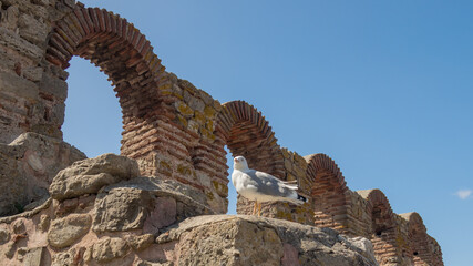 Zabytkowe ruiny starego Nessebaru nad morzem Czarnym