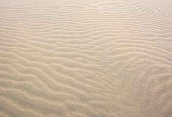 Fototapeta na wymiar Fine beach sand in the summer sun. Sand texture. Sandy beach for background. Top view.