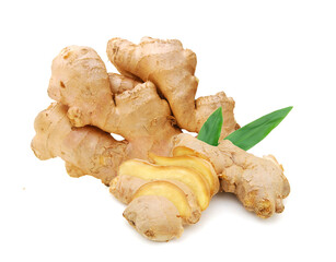 Fresh ginger root or rhizome isolated on white background cutout