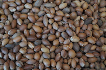 herbs nuts macro