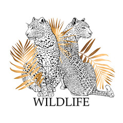 Sketch of a two sit leopard in a gold exotic palm leaves. Wildlife - lettering quote. T-shirt composition, Hand drawn style print. Vector illustration.